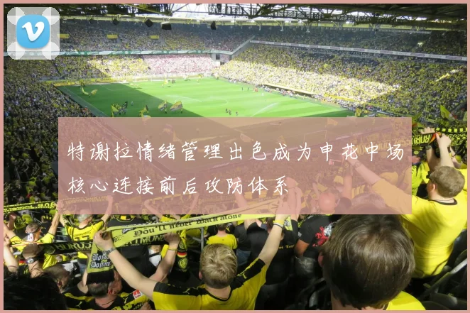 特谢拉情绪管理出色成为申花中场核心连接前后攻防体系